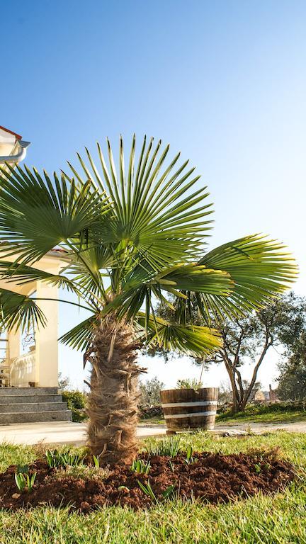Guest House Croatia Fazana Bagian luar foto